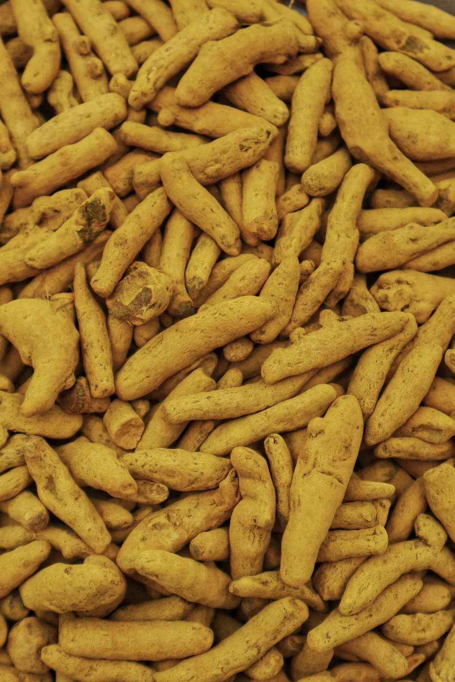 Turmeric Finger